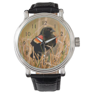 Roodvleugelige Blackbird-man zingt Horloge