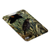 Roodvleugelige merels en nest in staarten magneet (Rechterzijde)