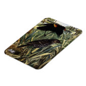 Roodvleugelige merels en nest in staarten magneet (Linkerzijde)