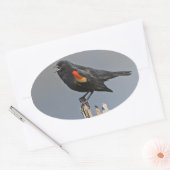 Roodvleugelige zwarte hond ovale sticker (Envelop)