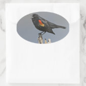 Roodvleugelige zwarte hond ovale sticker (Tas)