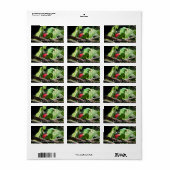 Roodvleugelpapegaai op de boomarm etiket (Full Sheet)