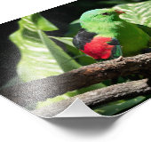 Roodvleugelpapegaai op de boomarm foto afdruk (Hoek)