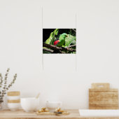 Roodvleugelpapegaai op de boomarm poster (Keuken)