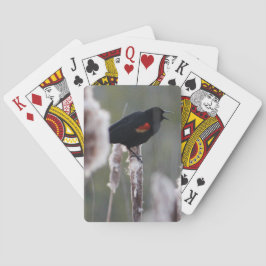 Roodvleugelspreeuw (Agelaius phoeniceus) Speelkaarten