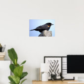 Roodvleugeltroepiaal Foto Poster (Thuiskantoor)