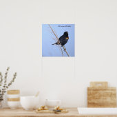 Roodvleugeltroepiaal Foto Poster (Keuken)