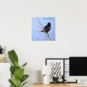 Roodvleugeltroepiaal Foto Poster (Thuiskantoor)