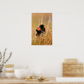 Roodvleugeltroepiaal mannetje zingt poster (Keuken)