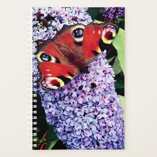 Roodvlinder Planner (Voorkant)