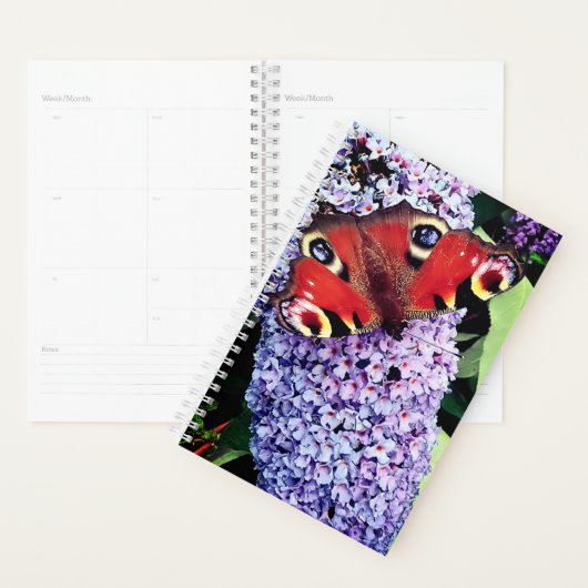 Roodvlinder Planner (Display)
