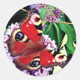 Roodvlinder Ronde Sticker