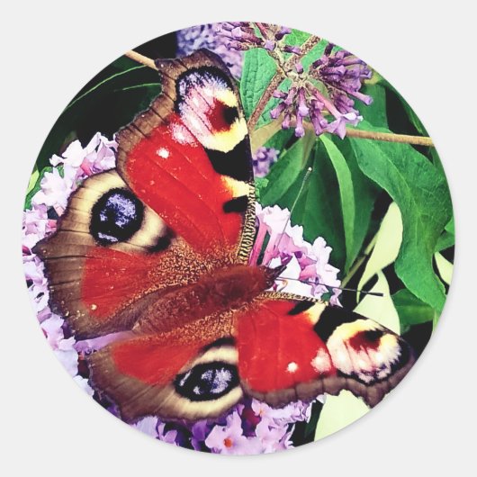 Roodvlinder Ronde Sticker (Voorkant)