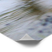 roodvogel poster (Hoek)