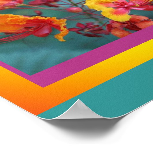 Roodvogel van het Poster van het Paradijs (Hoek)