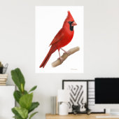 Roodvogelafdrukken in noordelijke kardinaal poster (Thuiskantoor)