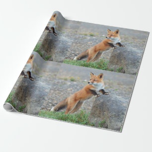 Roodvos Cadeaupapier