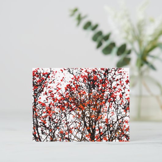 Roodvruchten of asbessen briefkaart (Staand voorkant)