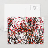 Roodvruchten of asbessen briefkaart (Voorkant / Achterkant)