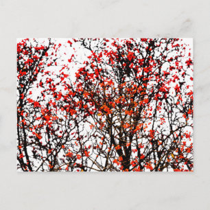 Roodvruchten of asbessen briefkaart