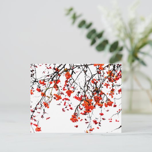 Roodvruchten of asbessen briefkaart (Staand voorkant)