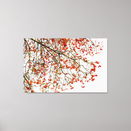 Roodvruchten of asbessen canvas afdruk