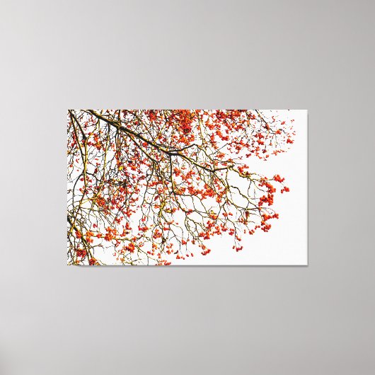 Roodvruchten of asbessen canvas afdruk (Voorkant)