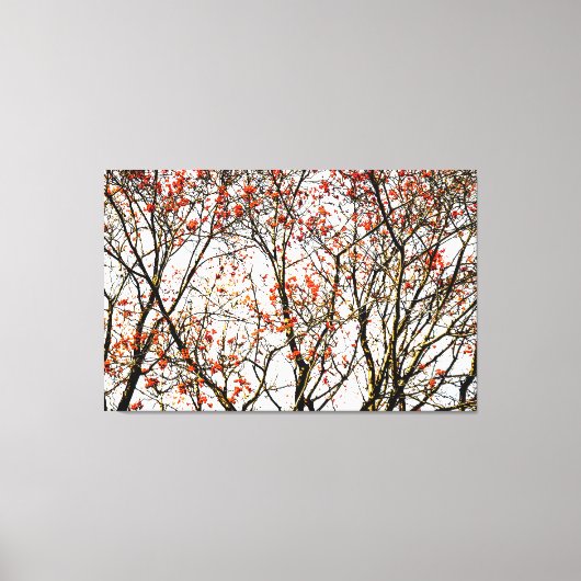 Roodvruchten of asbessen canvas afdruk (Voorkant)