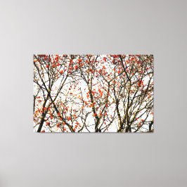 Roodvruchten of asbessen canvas afdruk