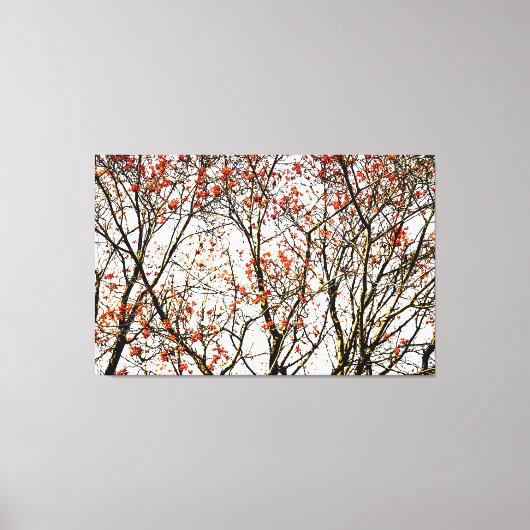 Roodvruchten of asbessen canvas afdruk (Voorkant)