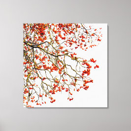 Roodvruchten of asbessen canvas afdruk