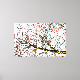 Roodvruchten of asbessen canvas afdruk