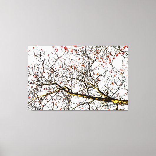 Roodvruchten of asbessen canvas afdruk (Voorkant)