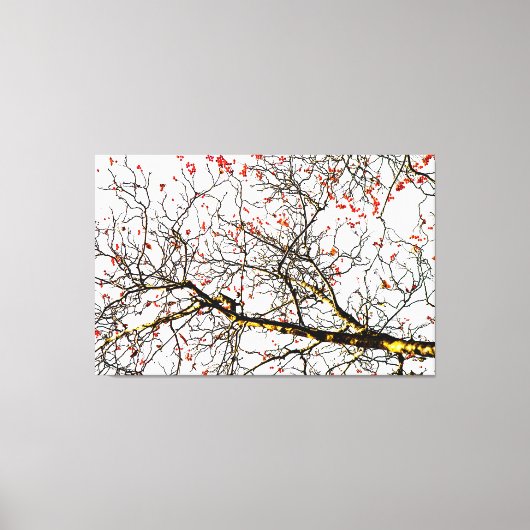 Roodvruchten of asbessen canvas afdruk (Voorkant)
