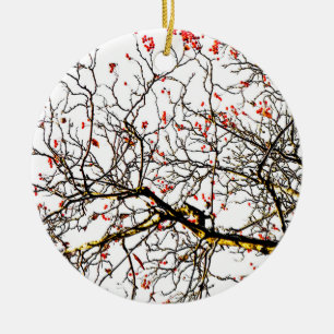 Roodvruchten of asbessen keramisch ornament