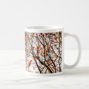 Roodvruchten of asbessen koffiemok