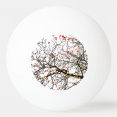 Roodvruchten of asbessen pingpongbal (Voorkant)