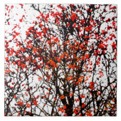 Roodvruchten of asbessen tegeltje (Voorkant)