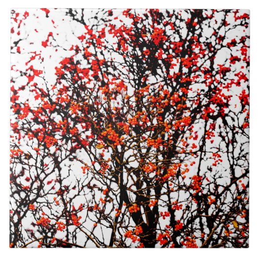 Roodvruchten of asbessen tegeltje (Voorkant)