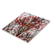 Roodvruchten of asbessen tegeltje (Zijkant)