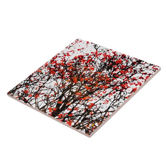 Roodvruchten of asbessen tegeltje (Zijkant)