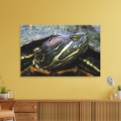 Roodwangschildpad, Trachemys scripta elegans, 2 Canvas Afdruk (Insitu (Woonkamer))