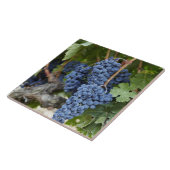 Roodwijndruiven op de wijnstok tegeltje (Zijkant)