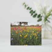 Roodzijdige wilde bloemen in Texas, lente Briefkaart (Staand voorkant)