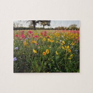 Roodzijdige wilde bloemen in Texas, lente Legpuzzel