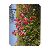 Roodzijdige wilde bloemen in Texas, lente Magneet (Verticaal)