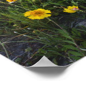 Roodzijdige wilde bloemen in Texas, lente Poster (Hoek)