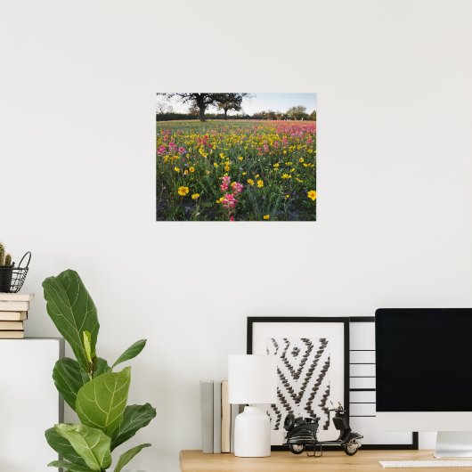 Roodzijdige wilde bloemen in Texas, lente Poster (Thuiskantoor)