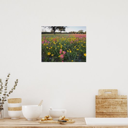 Roodzijdige wilde bloemen in Texas, lente Poster (Keuken)