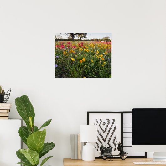 Roodzijdige wilde bloemen in Texas, lente Poster (Thuiskantoor)